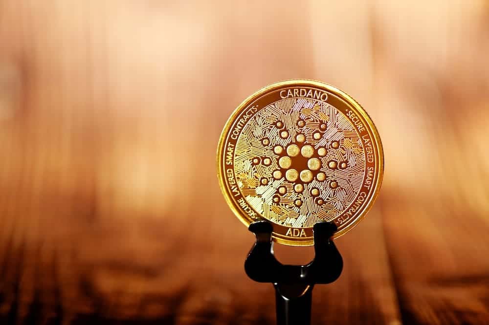 Can Cardano Catch Up To Ethereum? Guy Gotslak Q&A