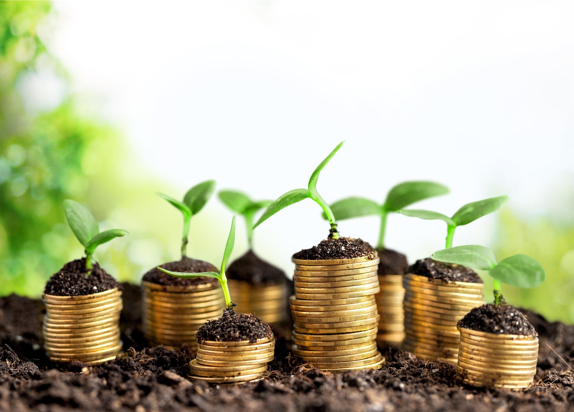 Several stacks of gold coins of various sizes, each topped with a bit of soil and a tiny green seedling.